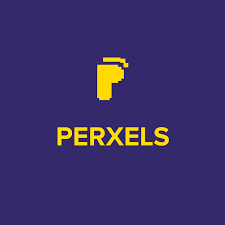 Apply for Perxels Graduate Trainee Programme