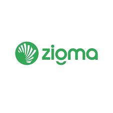 Openings at Zigma Limited
