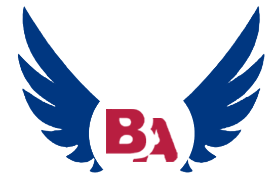 Recruitment for Webflow Developer at Biz Afric Solutions
