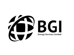 BGI Energy Services Limited openings