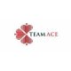 Vacancies at TeamAce Limited